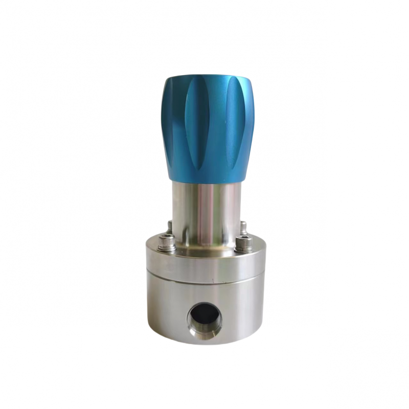 Stainless Steel Safey Relief Valve