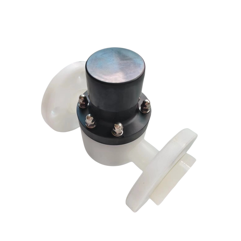 PVDF Back Pressure Valve