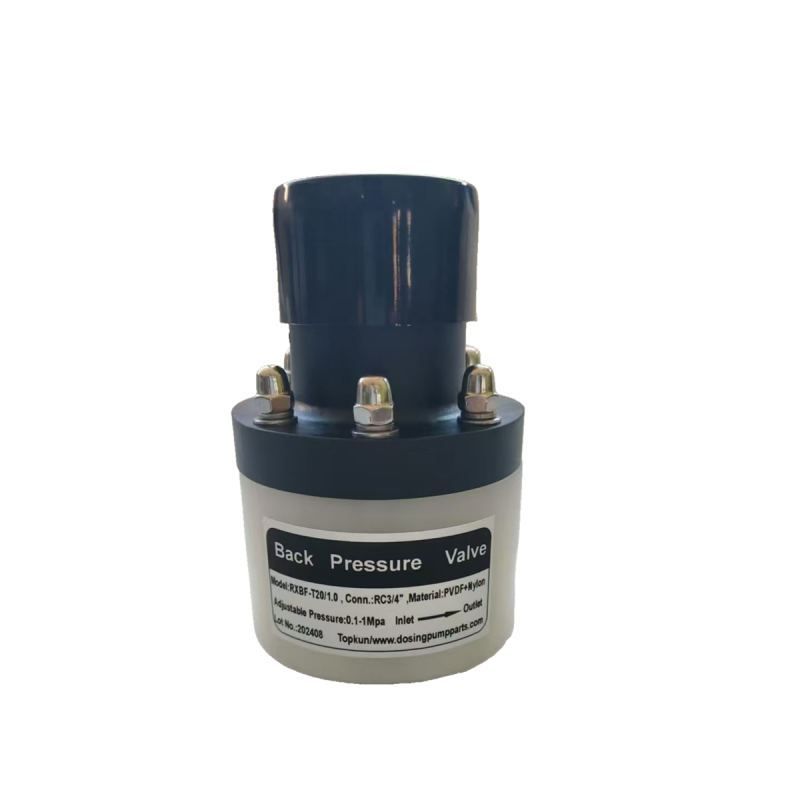 Low-Pressure Back Pressure Valve