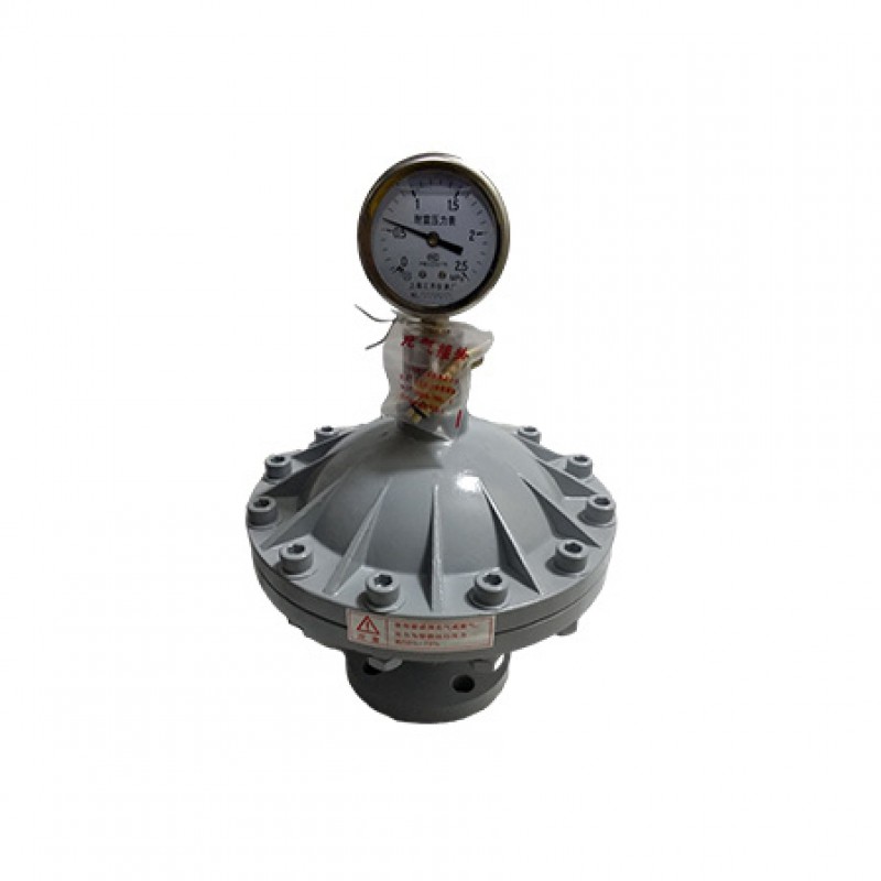 Carbon Steel Diaphragm Pulsation Dampener