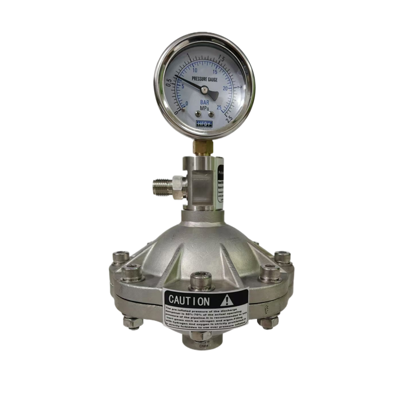 Stainless Steel Diaphragm Pulsation Dampener